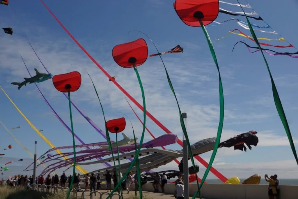 Poppy kites on the Esplanade de Notre Dame de Monts