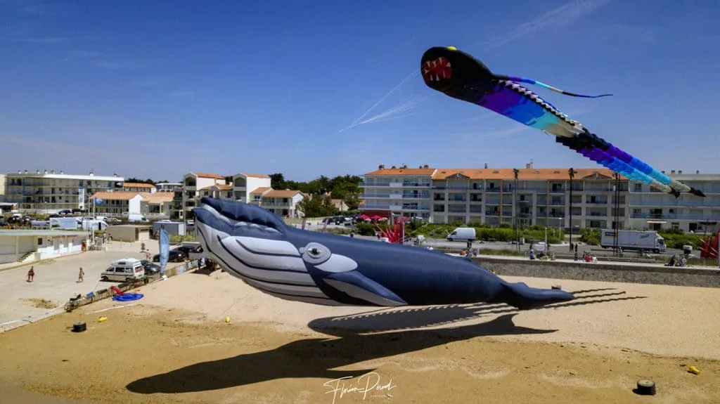 Drachen eines riesigen Wals am Strand von Notre Dame de Monts