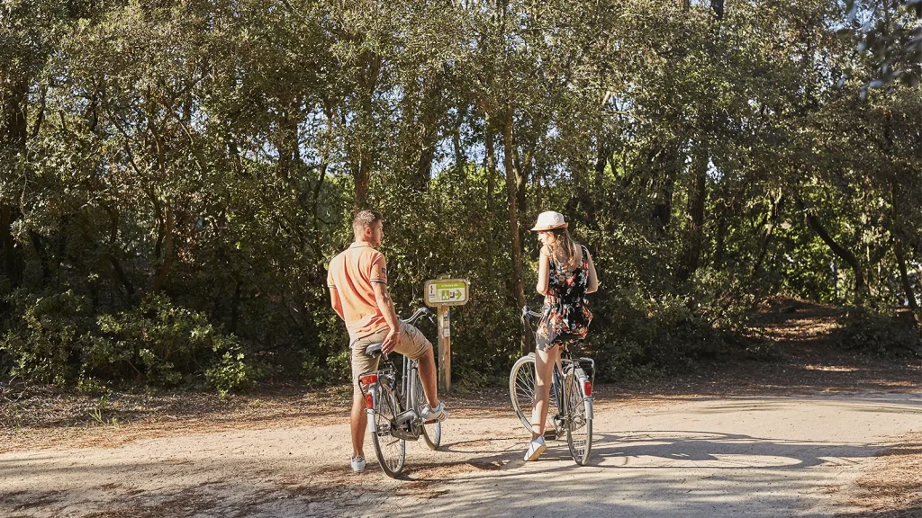 photo d'un couple à vélo en forêt