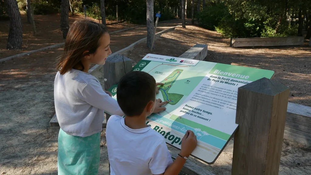 deux enfants se baladant dans la foret de notre dame de monts