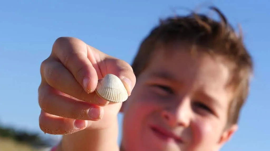 enfant montrant un coquillage sur la plage