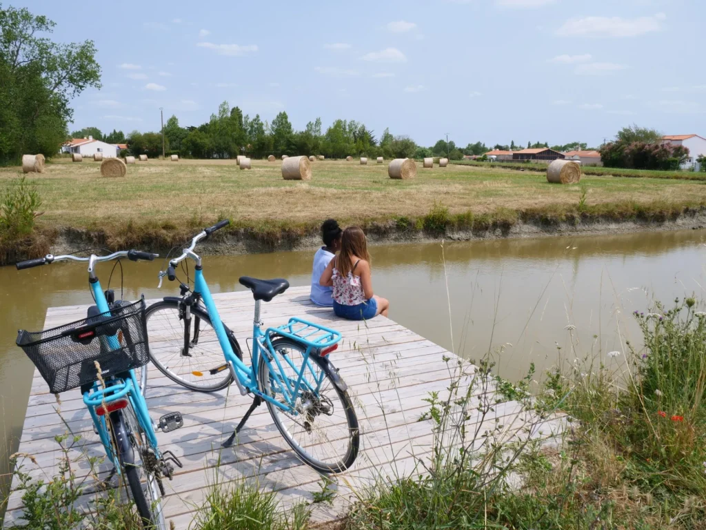 girls with bikes sitting in the marshes
