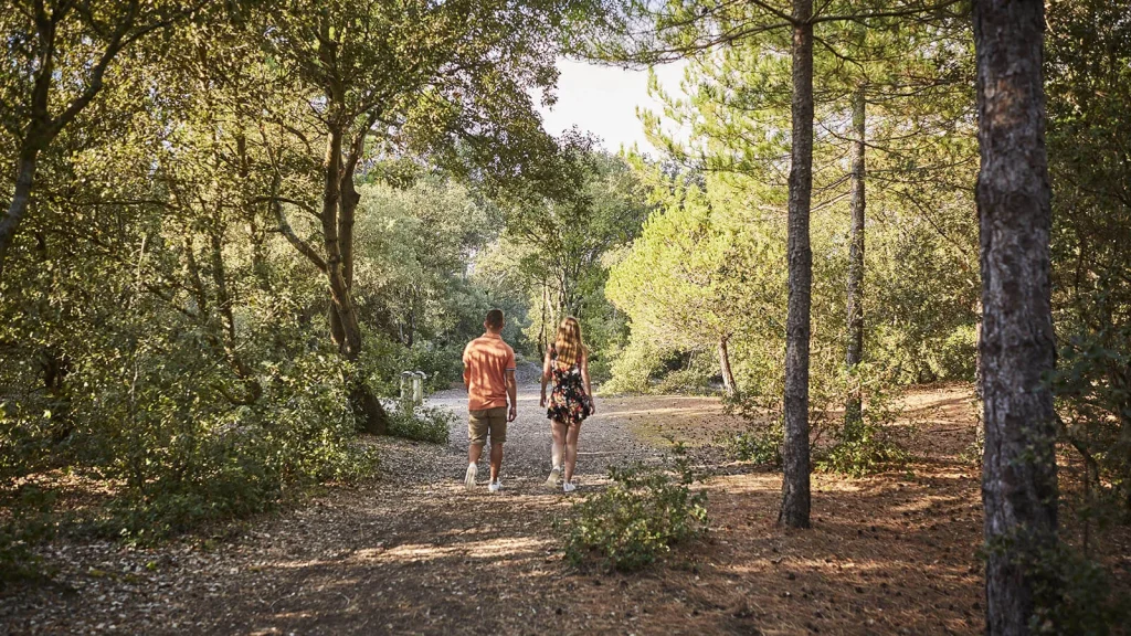 Paar beim Spaziergang im Wald in Vendée