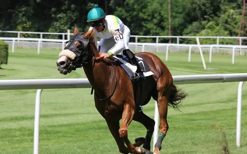 Hippodrome de Saint Jean de Monts