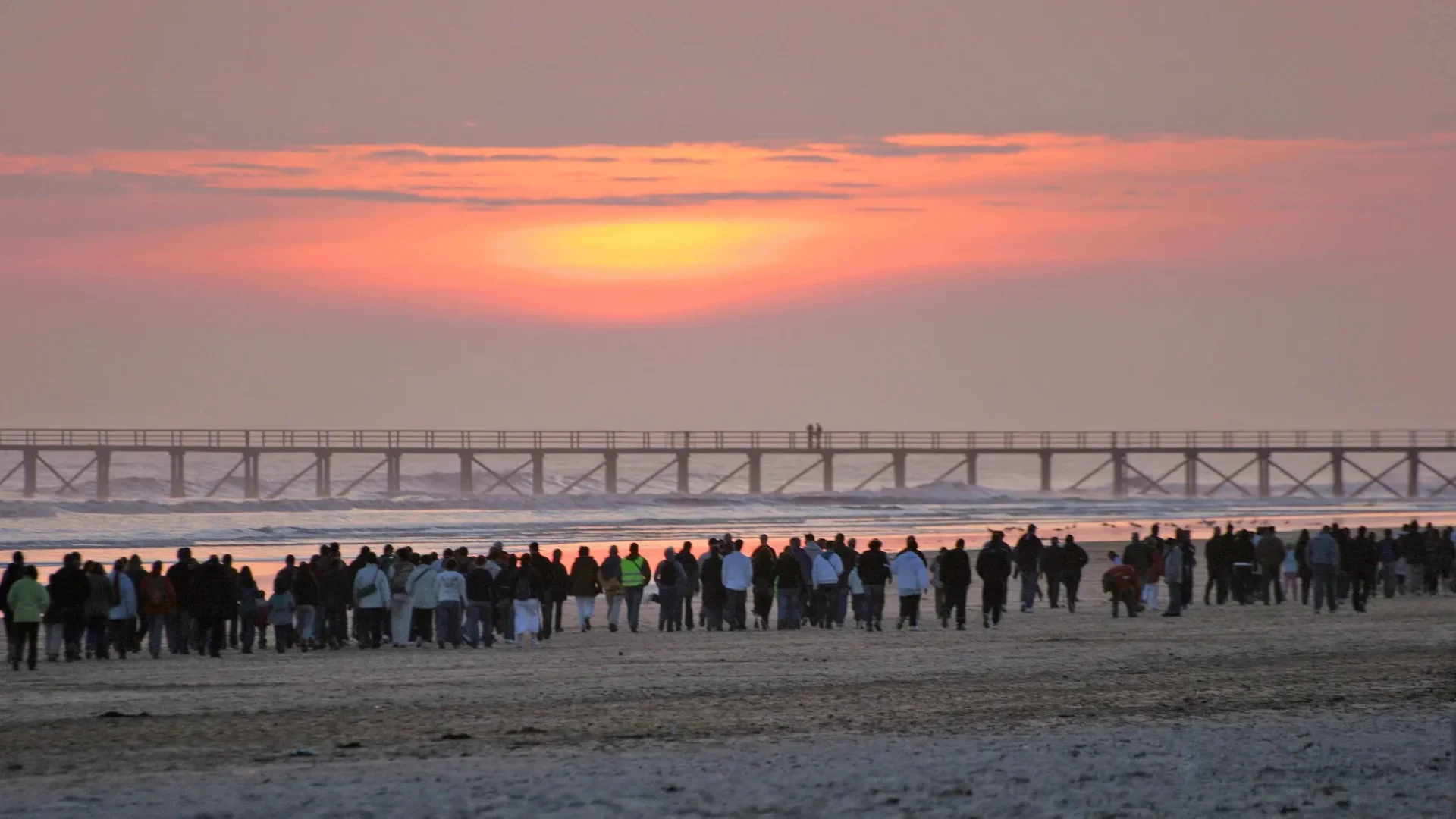 Groupe de personne marchant sur la plage au coucher du soleil pendant l'événement La Dunaire Montoise