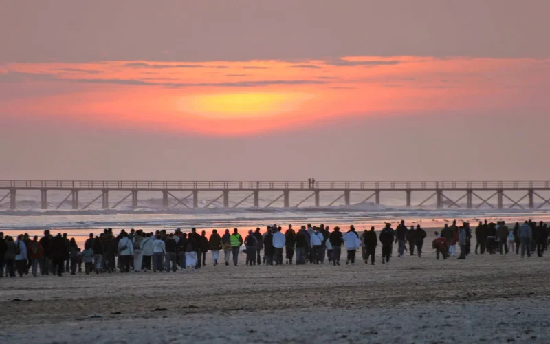 Groupe de personne marchant sur la plage au coucher du soleil pendant l'événement La Dunaire Montoise