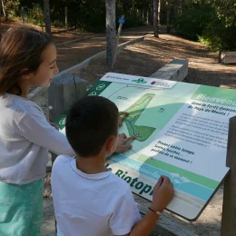 enfants découvrant la forêt domaniale des pays de monts