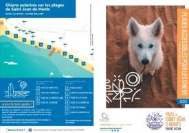 Guide des plages accessibles aux chiens vendée