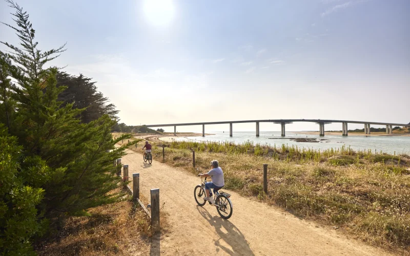 Que Visiter en Vendée ?