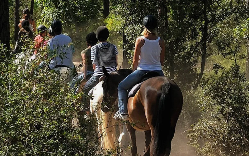 Reiten im Wald