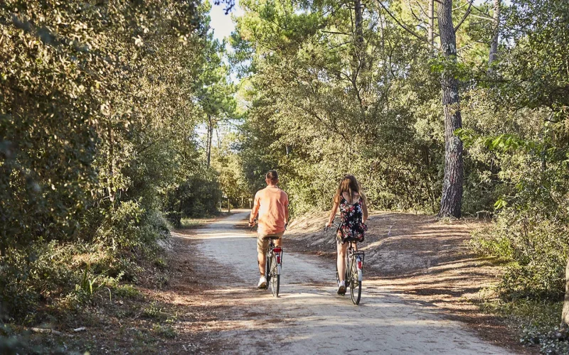 Balade à vélo en forêt