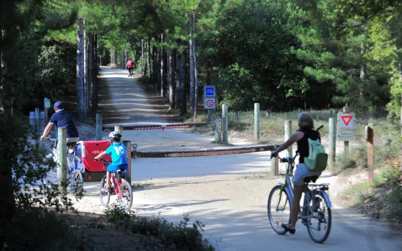 Balade à vélo en famille en forêt