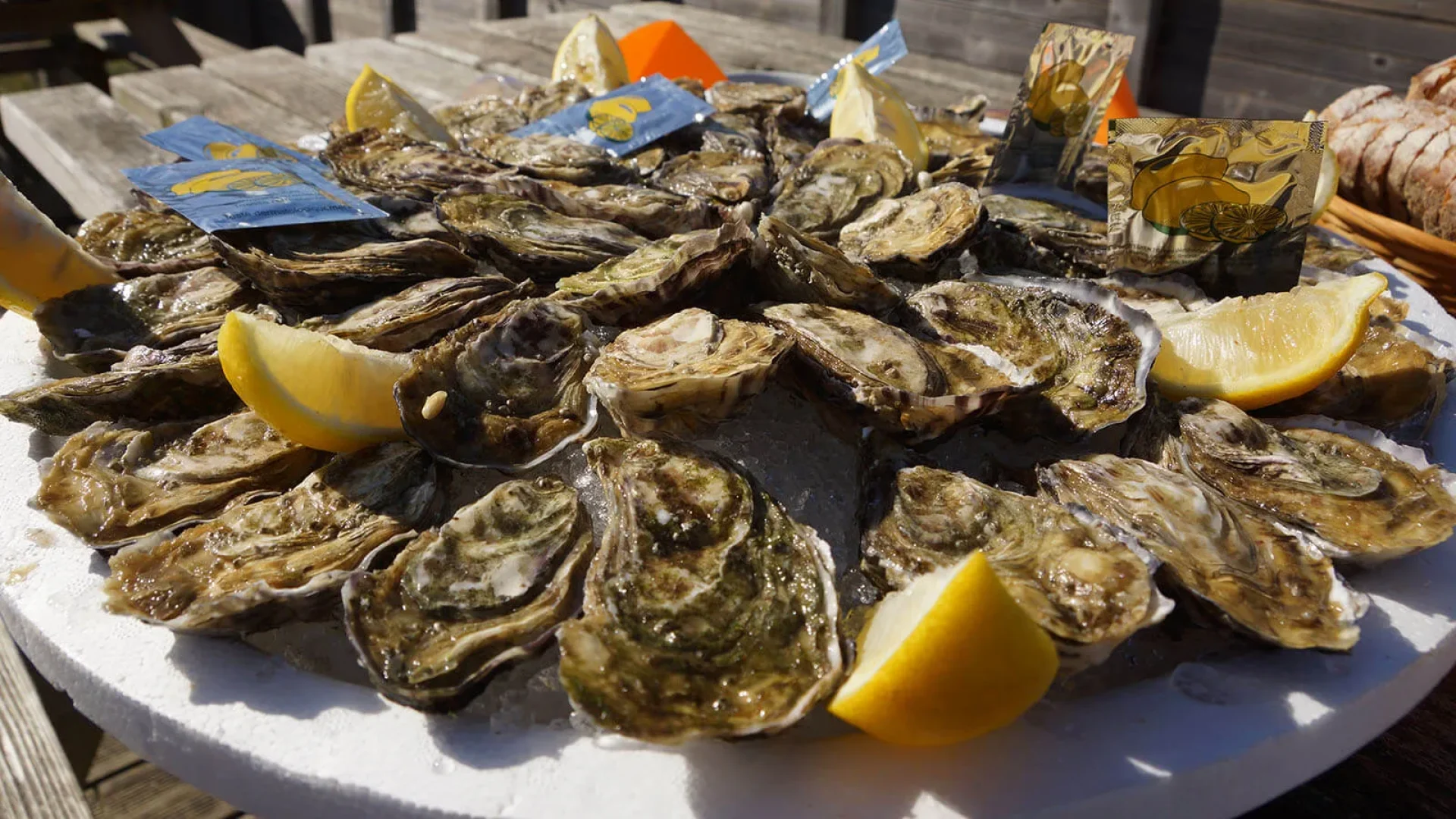 oysters in pays de saint jean de monts