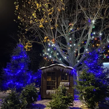 Animations de Noël et sorties en décembre au Pays de Saint Jean de Monts