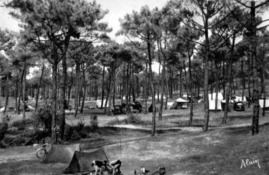 camping Saint Jean de Monts - entre 1960 et 1969 - Editeur Alain - Propriétaire AVERTY P. - Colll OPCI AREXCPO