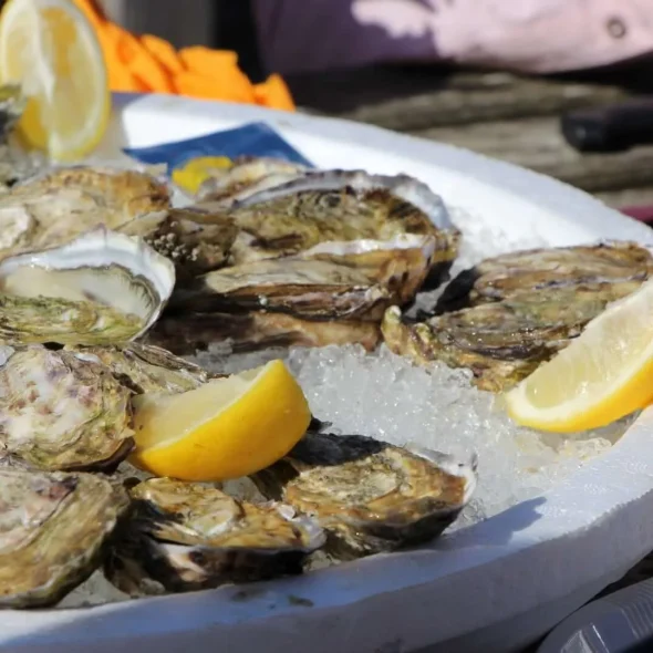 Les Producteurs Locaux de La Barre de Monts – Fromentine