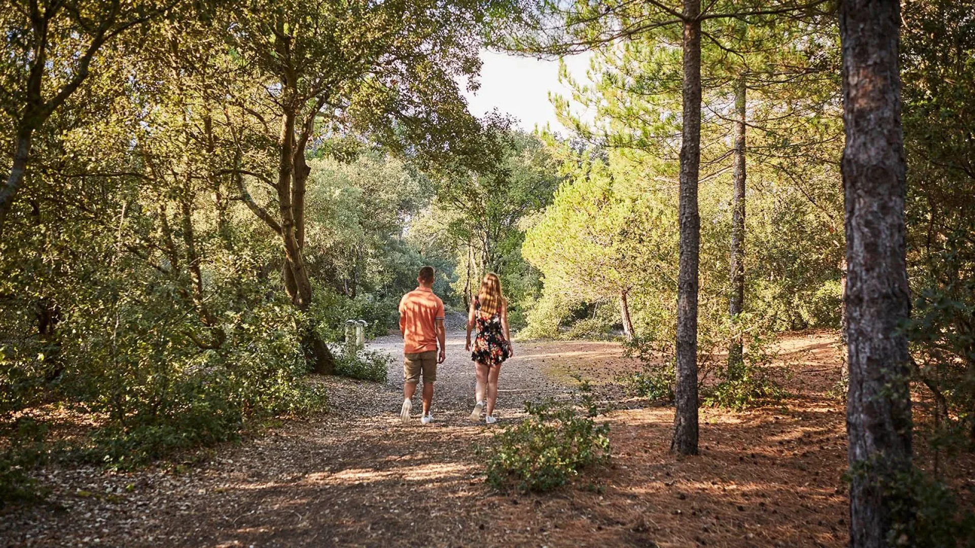 photo d'un couple se baladant en forêt sous les arbres et le soleil