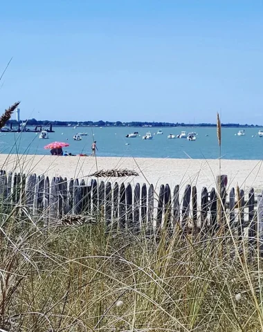 vue derrière la barrière de la petite plage de Fromentine à la barre de monts - fromentine
