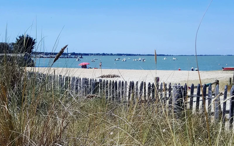 vue derrière la barrière de la petite plage de Fromentine à la barre de monts - fromentine