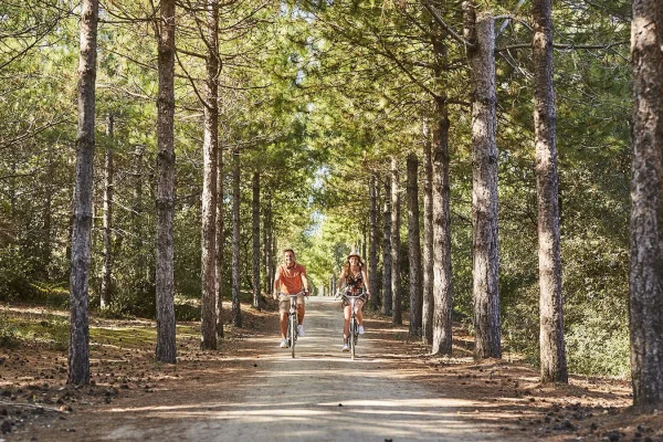 Ein Paar fährt Rad im Wald im Pays de Saint Jean de Monts