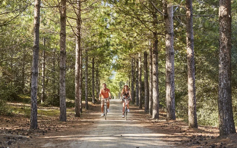 Ein Paar fährt Rad im Wald im Pays de Saint Jean de Monts