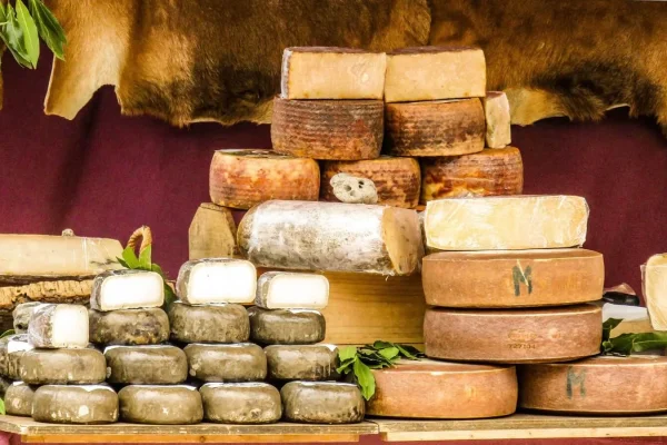 Visite gourmande en vendée dans une fromagerie locale