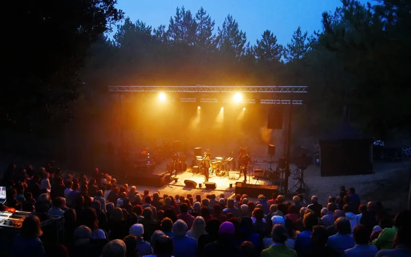 sortir en vendée, concert et autres idées