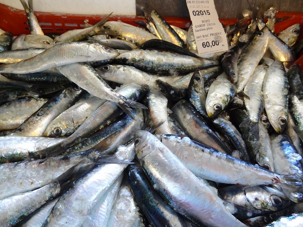 les-5-raisons-de-faire-un-break-au-printemps-au-bord-de-la-mer-les-sardines-7682