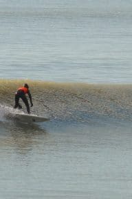 sport de glisse en vendee surf notredamedemonts