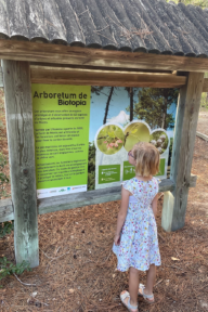 Arboretum - enfant - pancarte